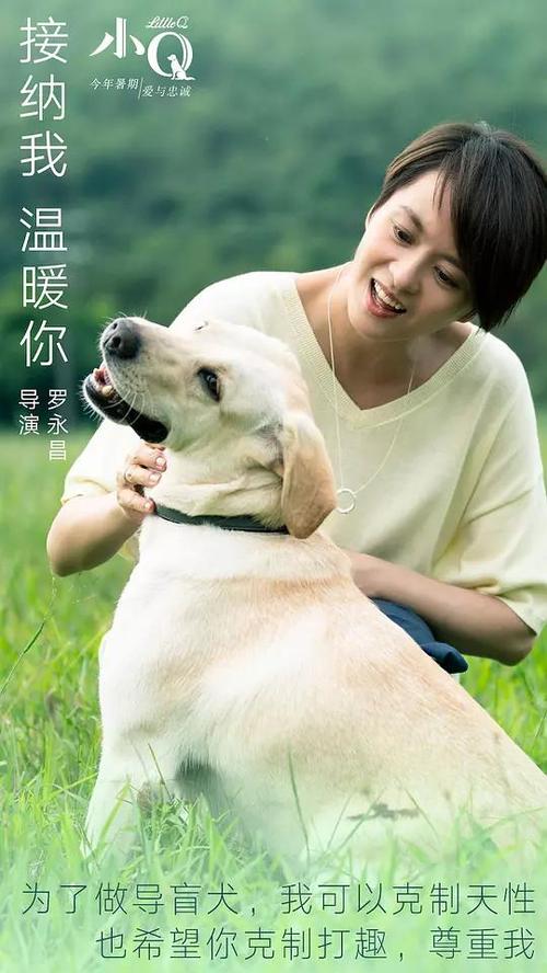 购买假日本护照电子版